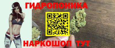 мдпв Донской