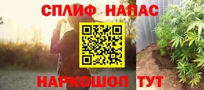 прущие грибы Дубна
