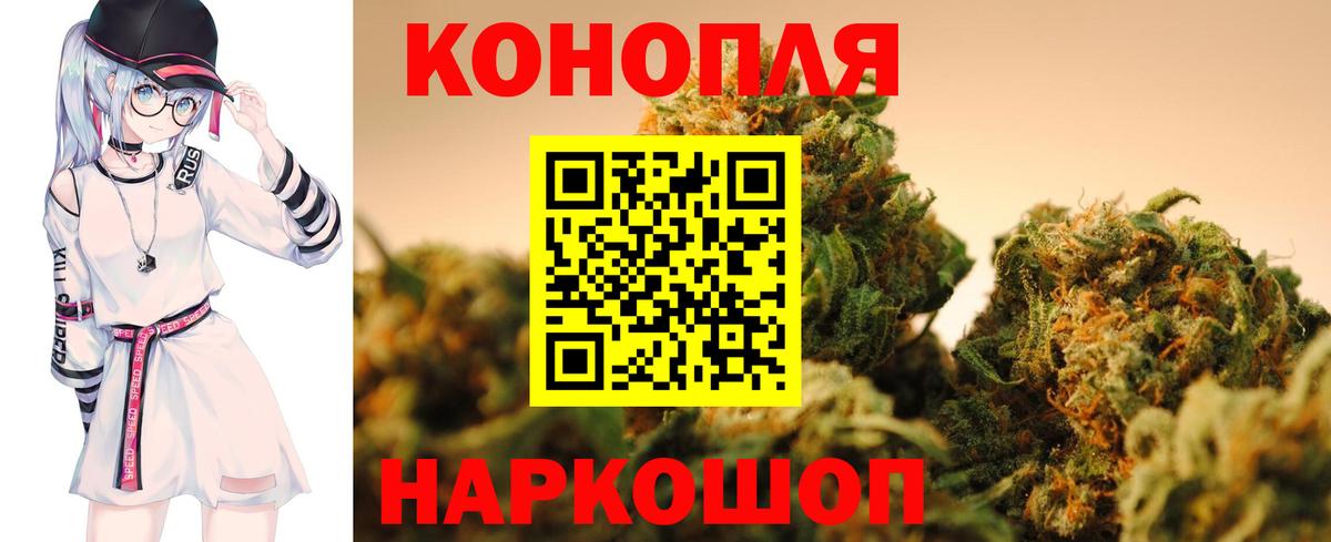 Канабис план  Бошки марихуана индика  Марихуана Ganja  Мирный  Вход с VPN  Бошки марихуана Bruce Banner 
